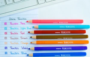 Zebra Penciltic - Gambar 2